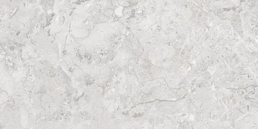 Керамогранит Infinity Ceramica Elegance Grey Glossy Silver Line 60x120