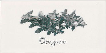 Декор Ликвидация Decor Oregano Blanco 10x20